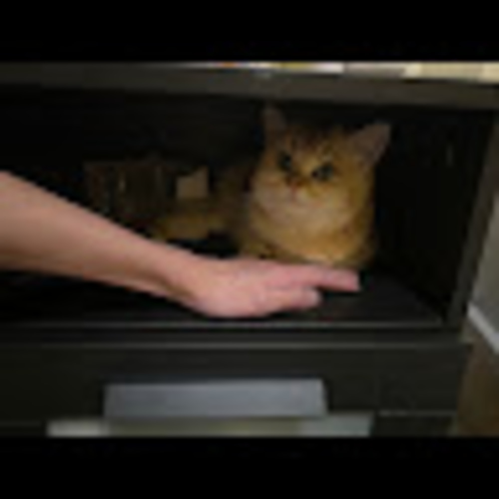 Meet your Posher, Du